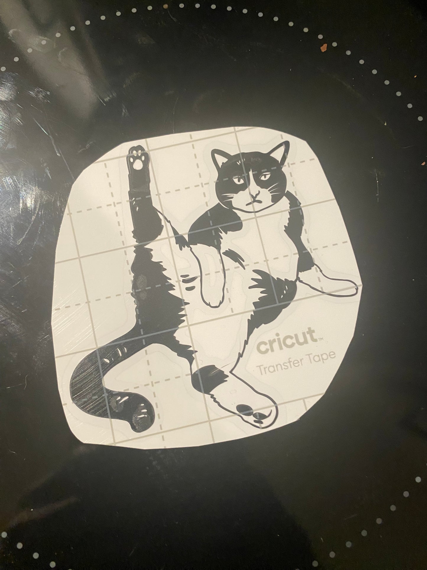 Cleaning cat decal